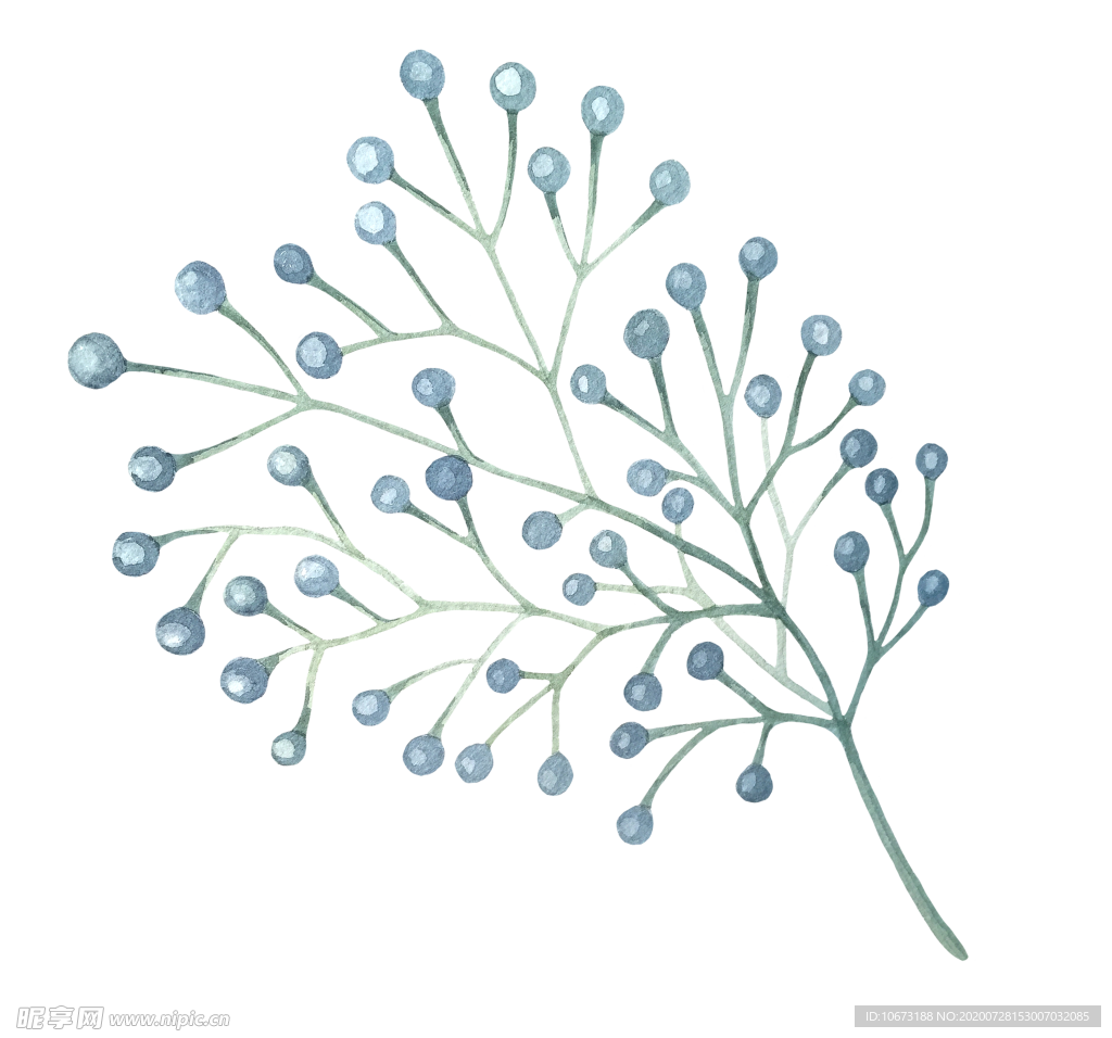 水彩植物