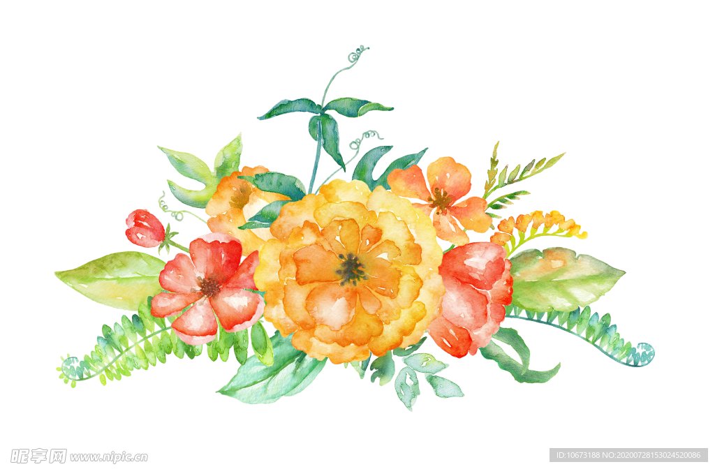 水彩植物