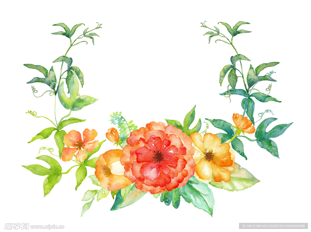 水彩植物