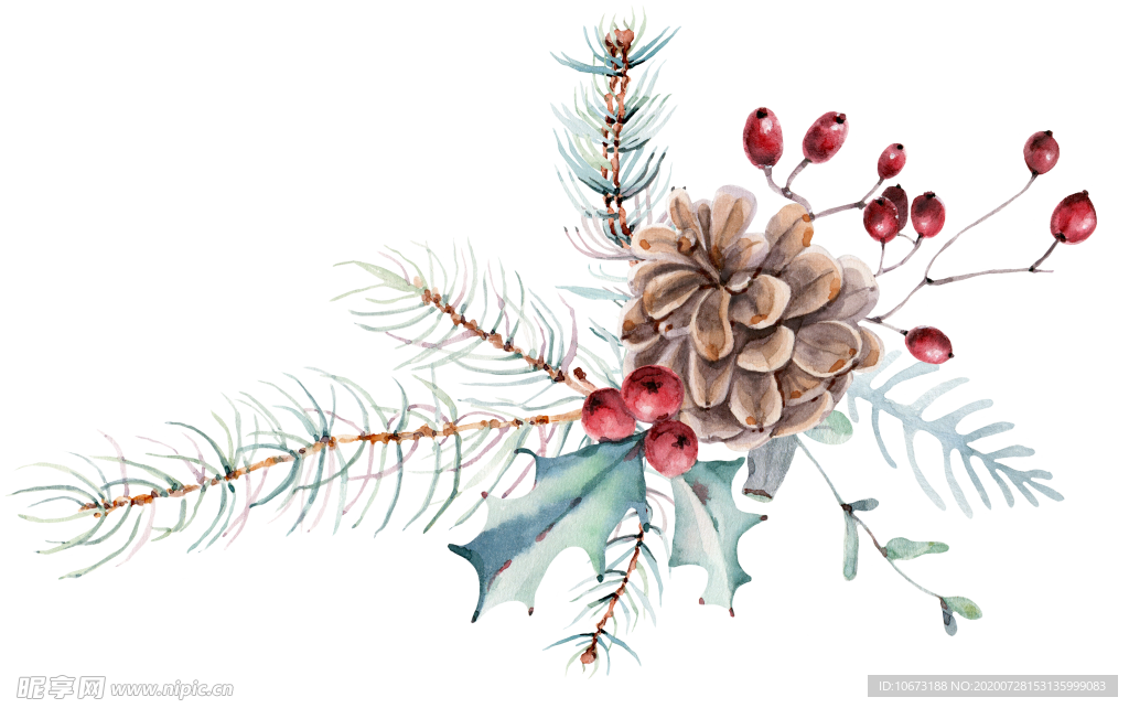 水彩植物