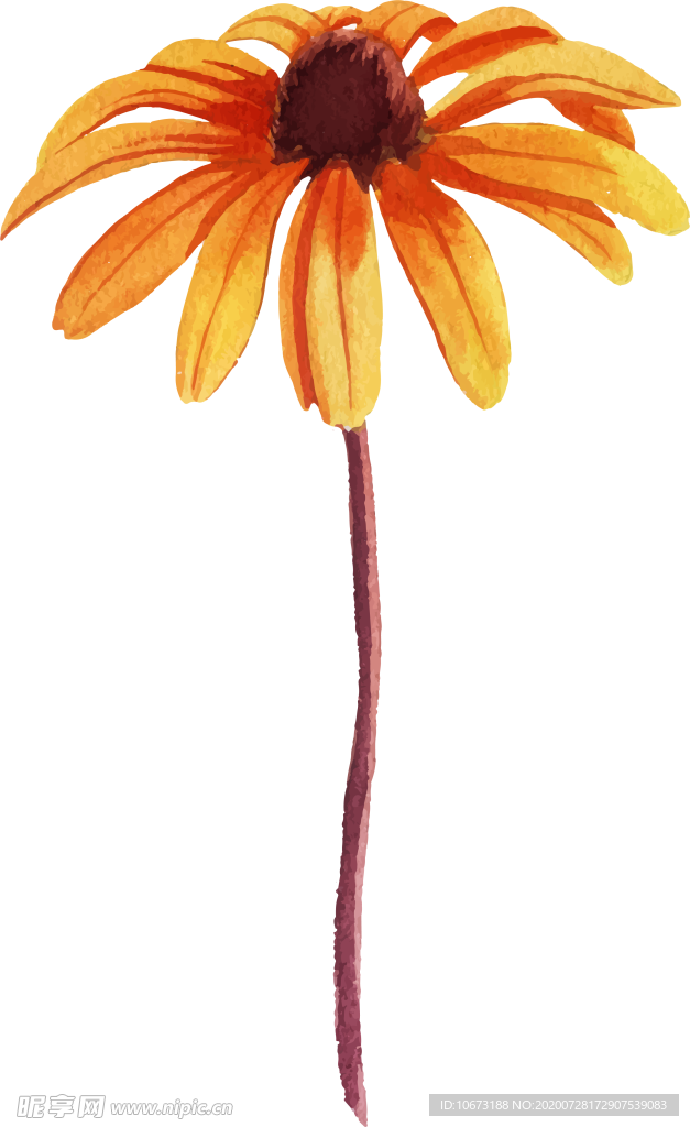 水彩植物