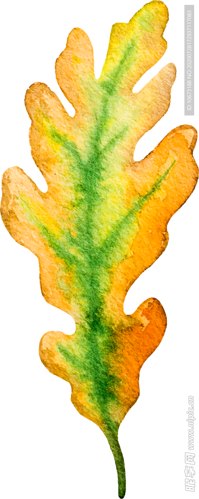 水彩植物