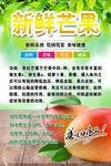 芒果海报