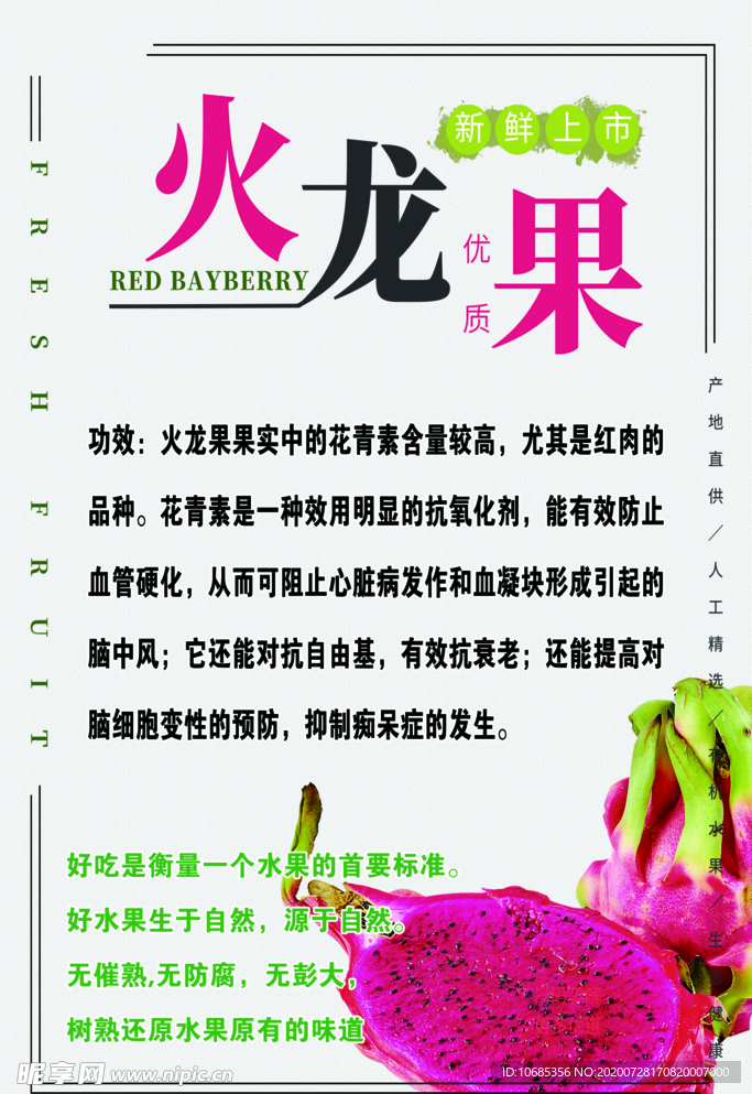 火龙果海报