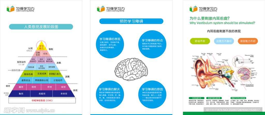 人类感觉发展阶段图