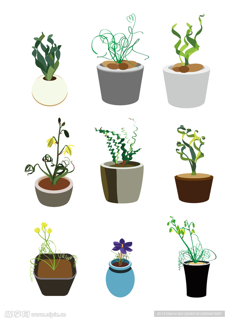 盆栽植物弹簧草装饰小清新图案