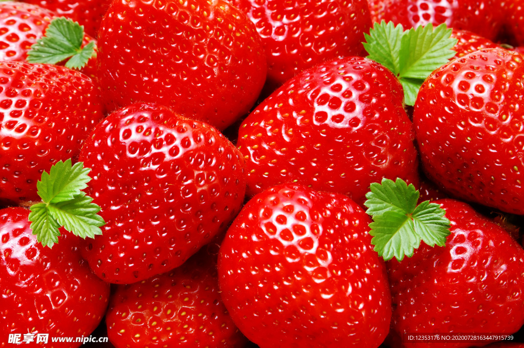 草莓图片  水果 红色