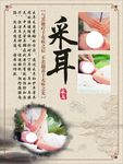 采耳