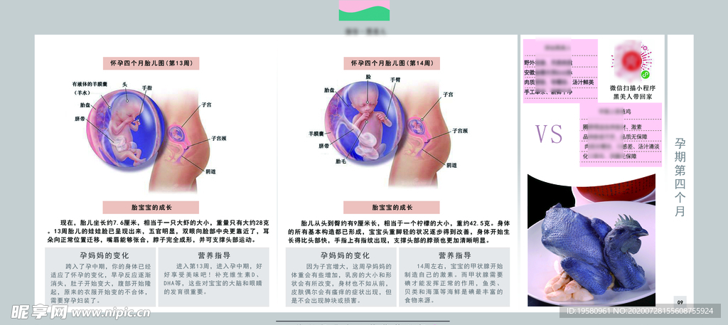 孕妈妈及胎宝宝变化第四个月