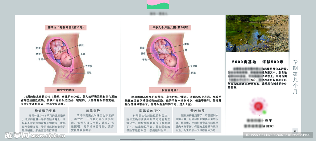 孕妈妈及胎宝宝变化第九个月