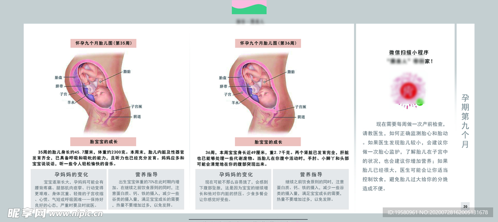 孕妈妈及胎宝宝变化第九个月