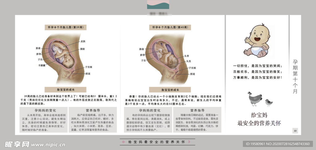 孕妈妈及胎宝宝变化第十个月