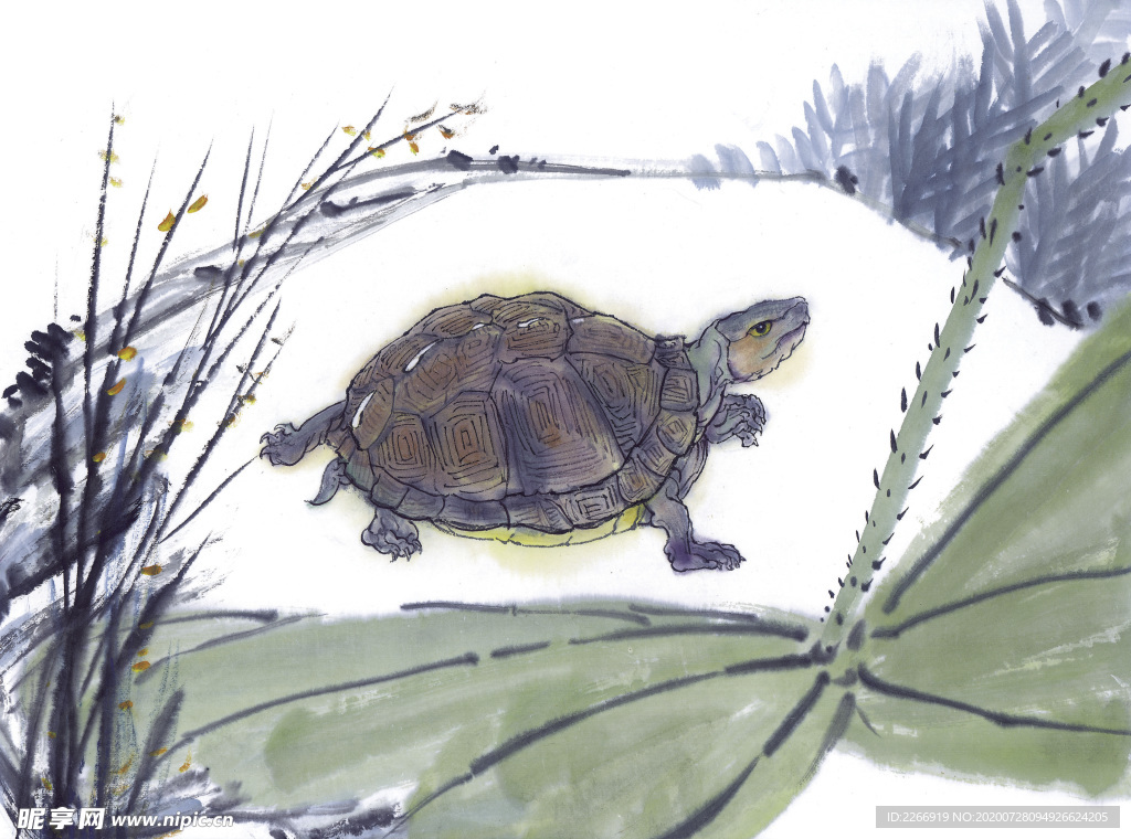 中国国画篇 果蔬