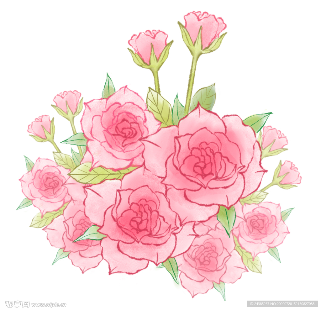 粉色玫瑰花