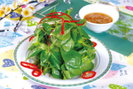 凉拌荆芥