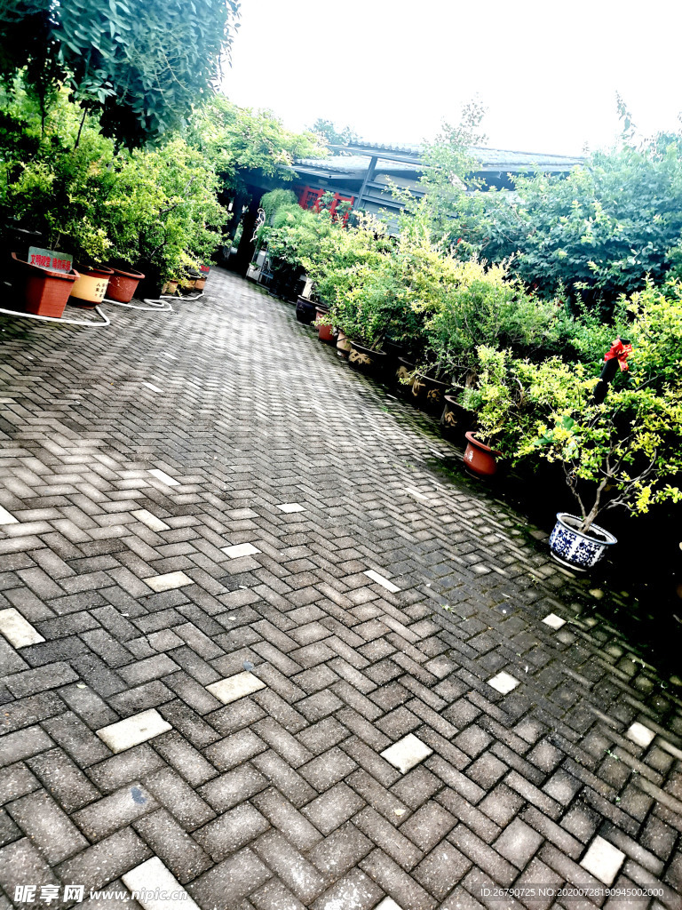 小路
