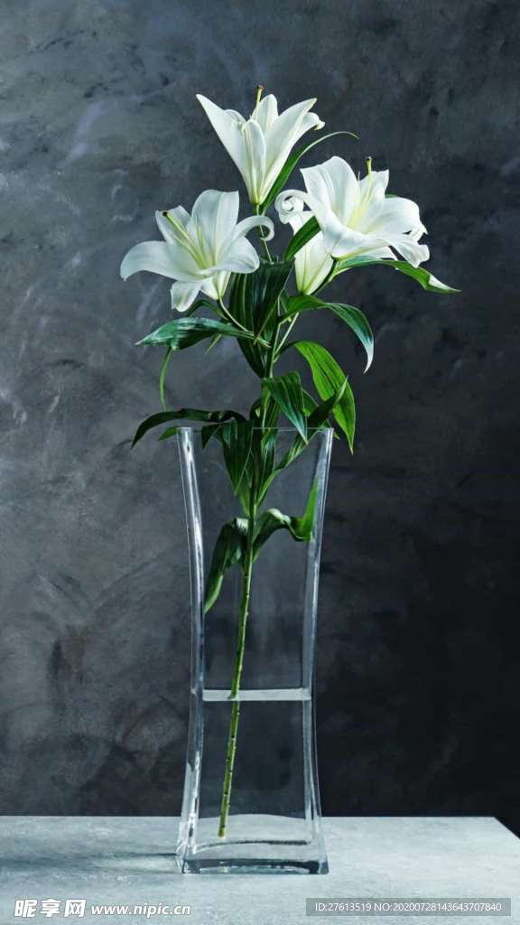 美丽的百合花插花图片