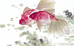 国画鲤鱼