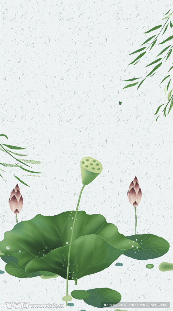 荷花
