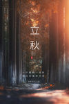 立秋