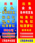 出售金鱼