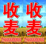 收麦灯箱喷绘