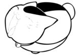 卡通漫画猫手绘潮牌图案