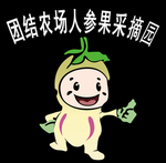 人参果卡通小人