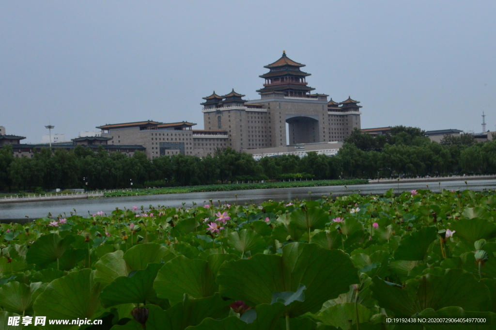 园林风景