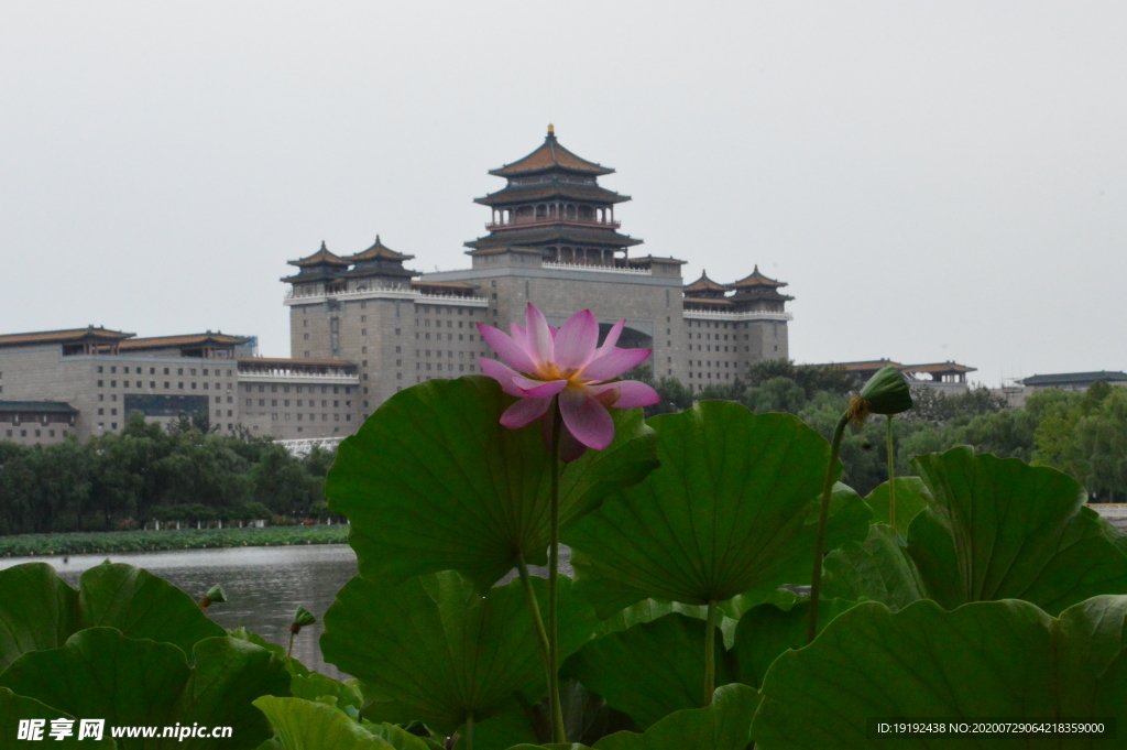 园林风景