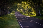 公路