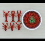 龙虾3D模型