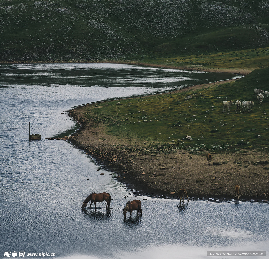 风景