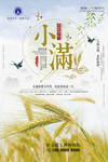 二十四节气 小满