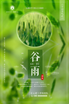 二十四节气谷雨