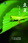 二十四节气立夏