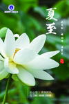 二十四节气夏至