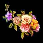 手绘花 玫瑰花 大牌花 乱花