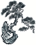 水墨松树