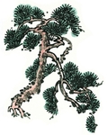 水墨松树