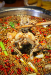 麻麻美蛙