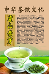 中华茶饮文化之霍山黄芽