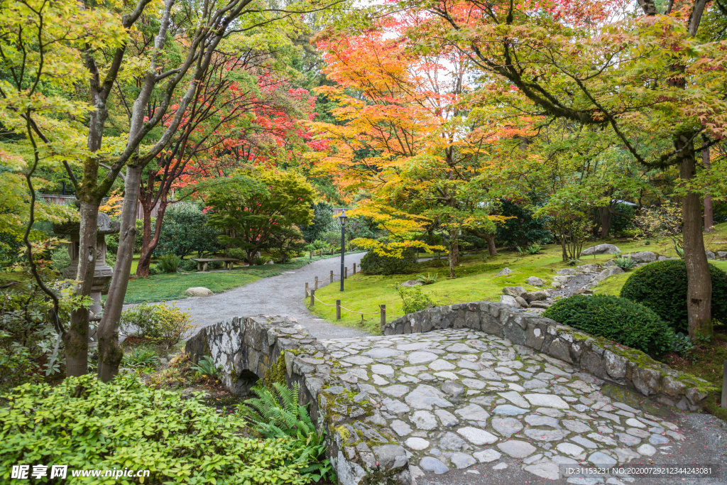 庭院