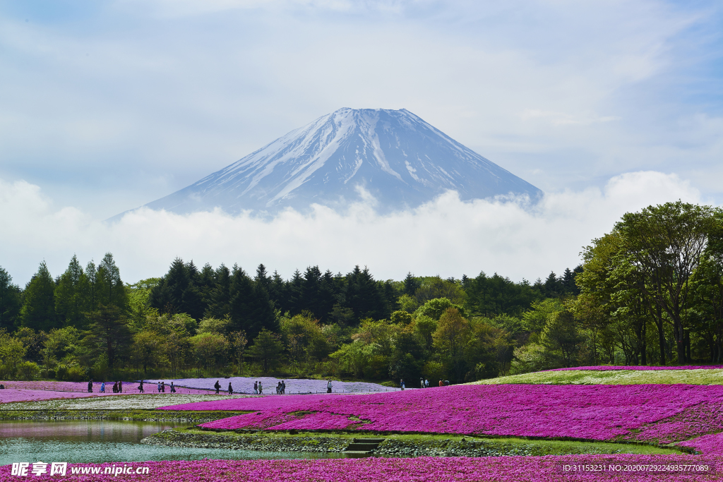 风景