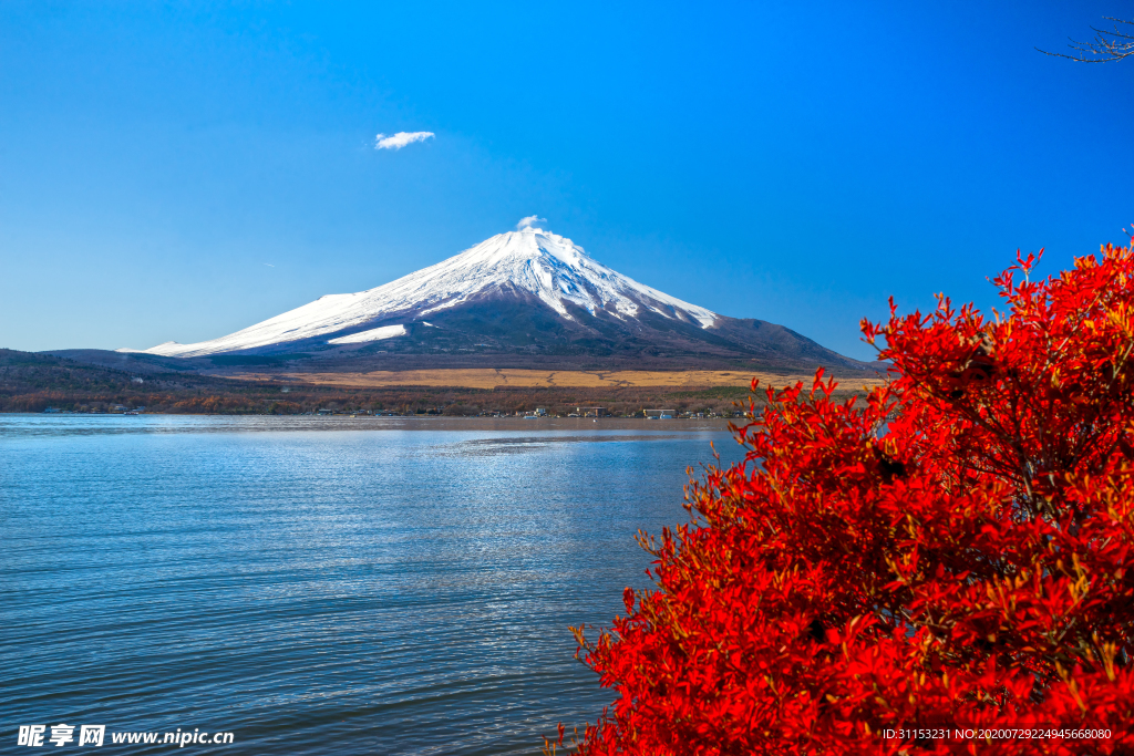风景