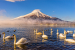 风景