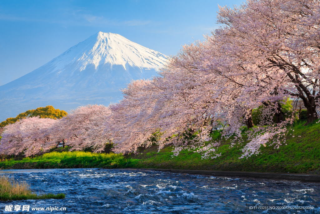 风景