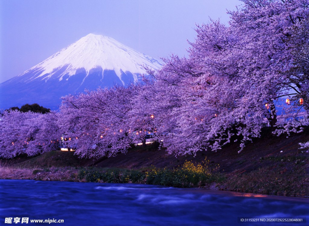 风景