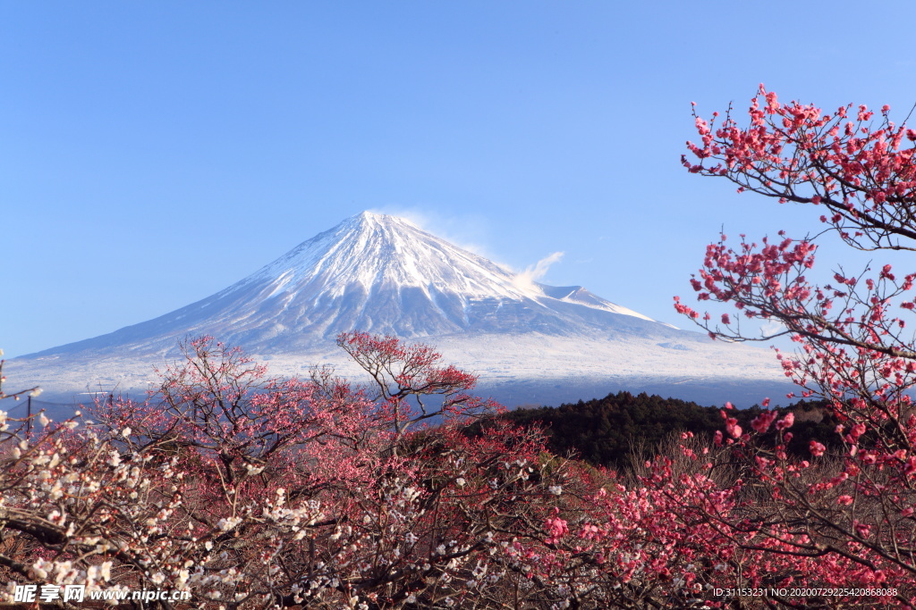 风景