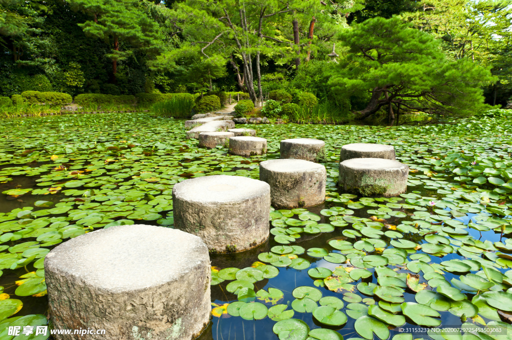 风景